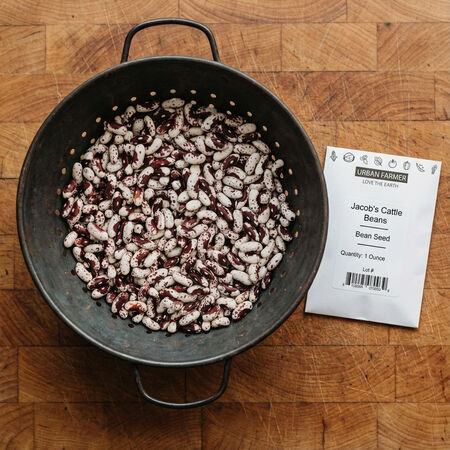 Jacob's Cattle, Bean Seeds - Packet (1 oz.) image number null